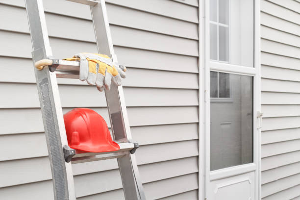 Best Custom Siding Design  in Westwego, LA