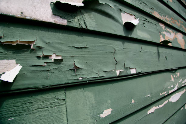 Best James Hardie Siding  in Westwego, LA