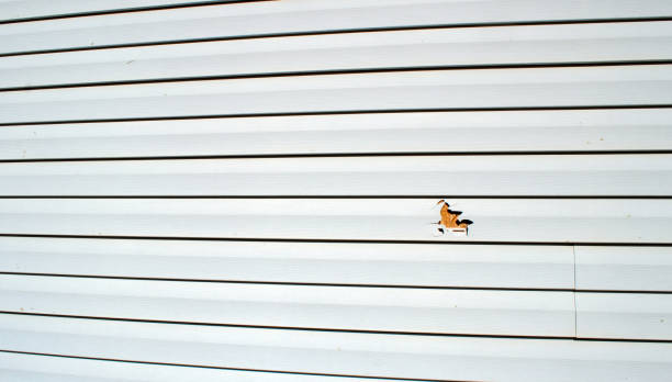 Best Siding for New Construction  in Westwego, LA